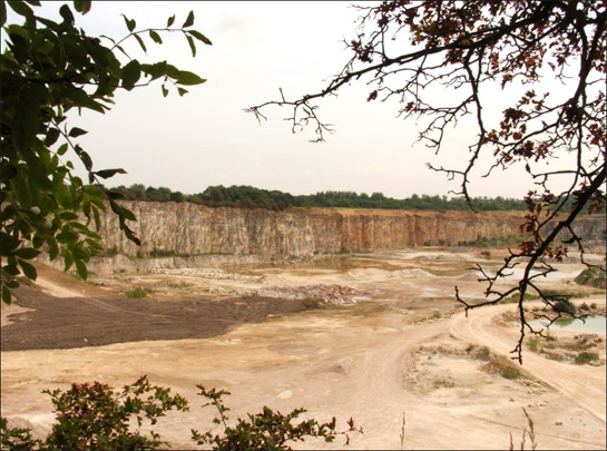 Figure 1: View over Holme Hall Limestone Quarry near Stainton