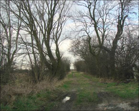 Figure 1: Un-metalled ‘green-lanes’ are still common in the ‘Fosterhouses Strip Enclosure’ character area. This example is in an area that was probably enclosed piecemeal from the edge of Fishlake West Field before the 1825 Parliamentary Award.