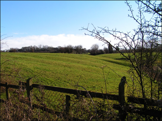 Figure 1: Ridge and Furrow earthworks immediately to the east of the village of Carr in the ‘Carr Strip Enclosures’ character area.  Preservation of ridge and furrow earthworks depends on the conversion and continued management of the land on which they survive as grasslands