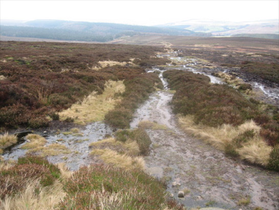 Figure 1: Foulstone Moor in the ‘Sheffield High Peak’ Character Area