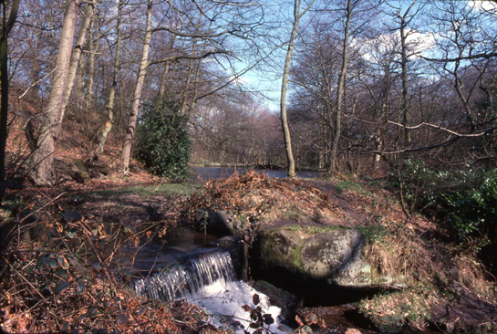 Remains of Frank Wheel in the Rivelin valley Remains of Frank Wheel in the Rivelin valley